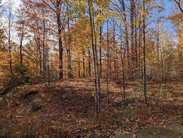 Representative image for Crystal Falls, Michigan
