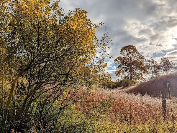 Representative image for Gaylord, Michigan