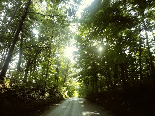 Representative image for Highland, Michigan