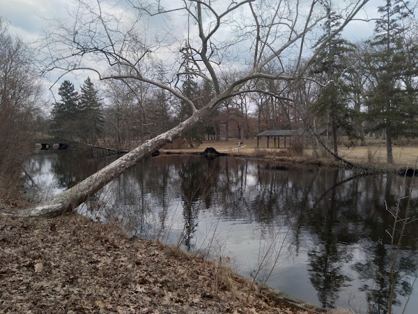 Representative image for Kalamazoo, Michigan