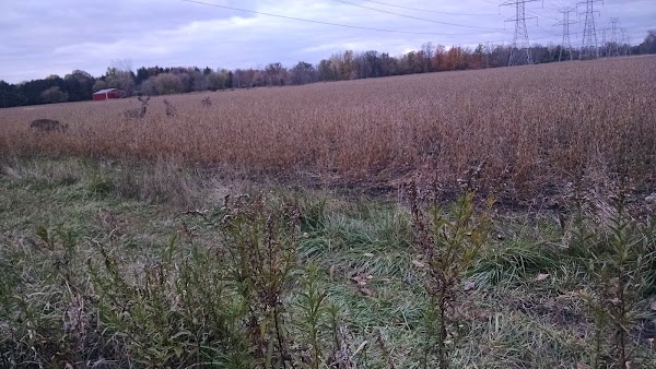 Representative image for Lapeer, Michigan