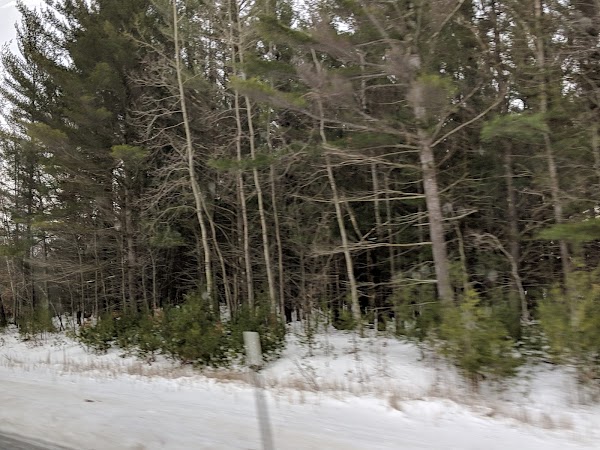 Representative image for Mancelona, Michigan