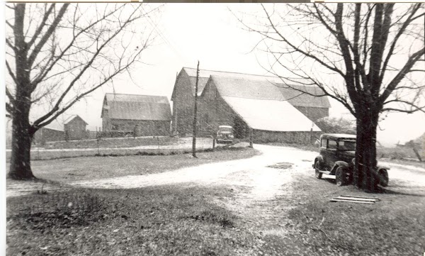 Representative image for Manton, Michigan