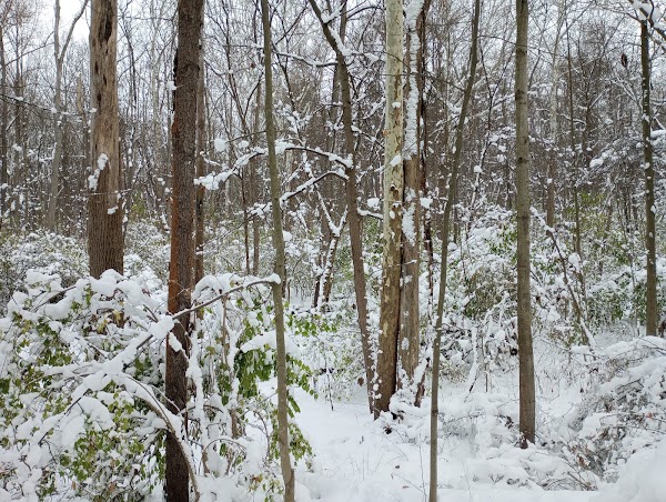 Representative image for Niles, Michigan