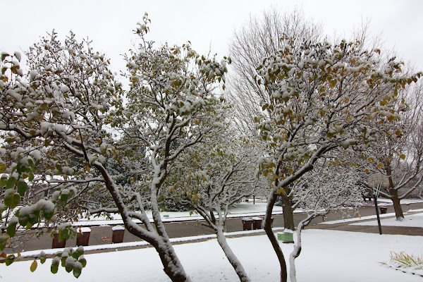 Representative image for Okemos, Michigan