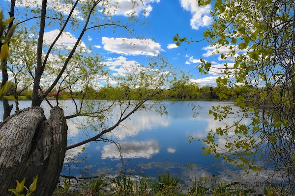 Representative image for Apple Valley, Minnesota