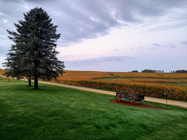 Representative image for Caledonia, Minnesota