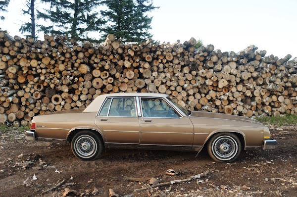 Representative image for Cloquet, Minnesota
