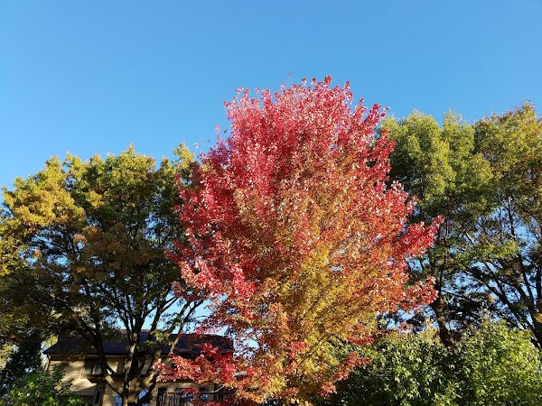 Representative image for Eagan, Minnesota
