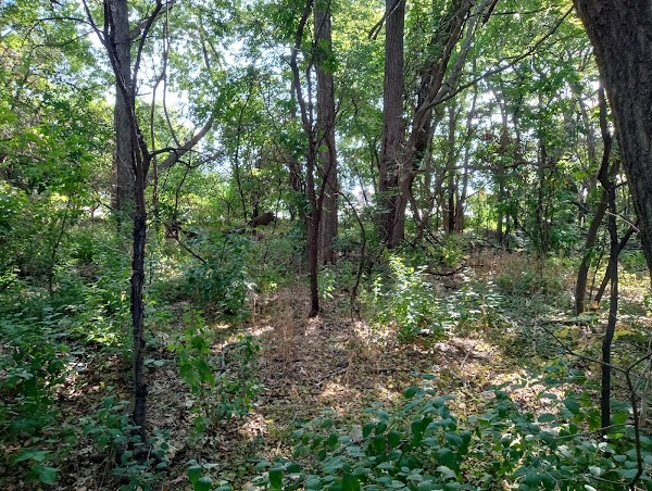 Representative image for Eden Prairie, Minnesota