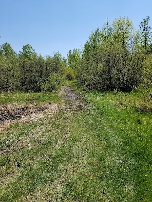 Representative image for Mountain Iron, Minnesota