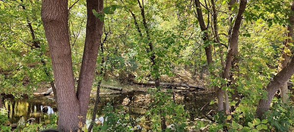 Representative image for New London, Minnesota