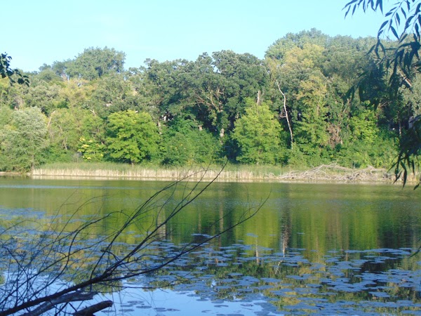 Representative image for Saint Louis Park, Minnesota