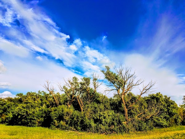 Representative image for Wheaton, Minnesota