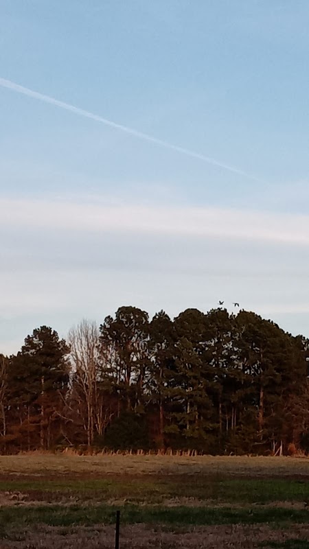Representative image for Ecru, Mississippi