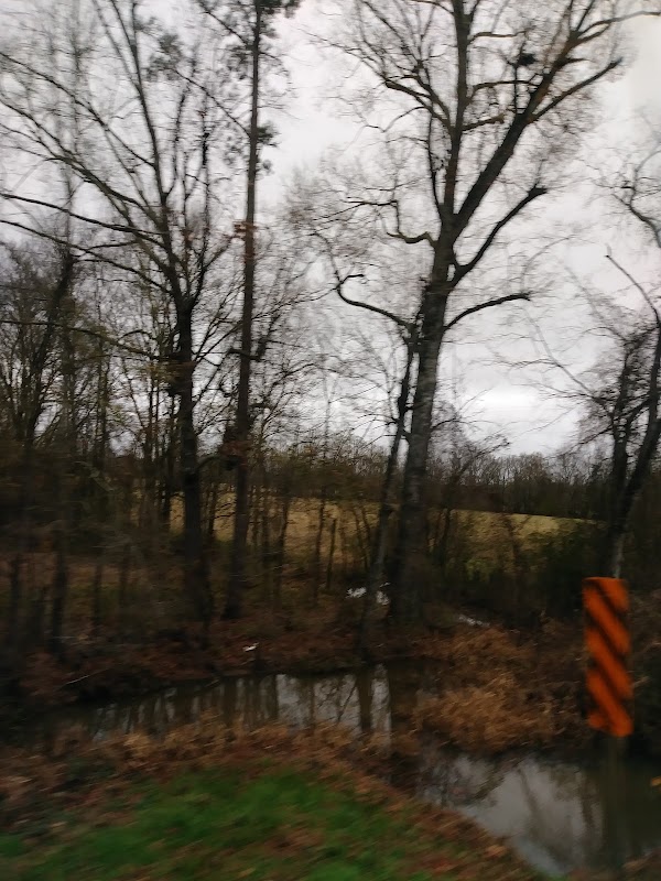 Representative image for Forest, Mississippi