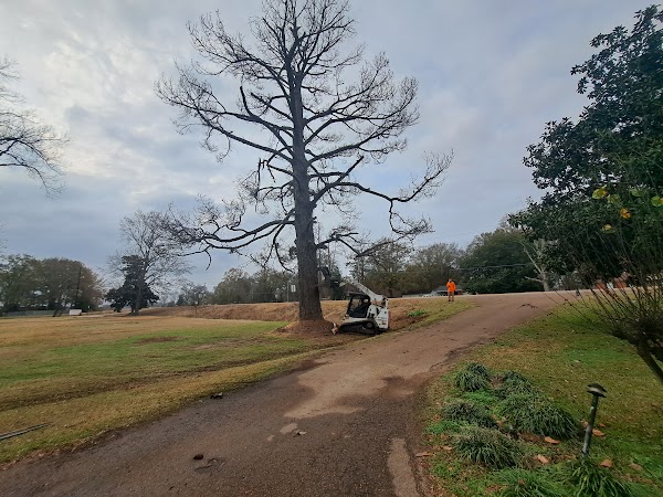 Representative image for Lexington, Mississippi