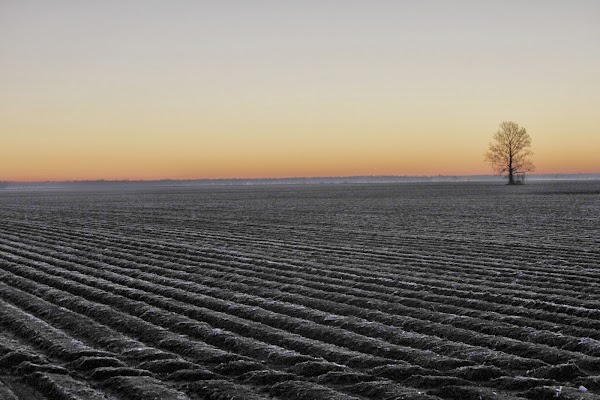 Representative image for Rolling Fork, Mississippi