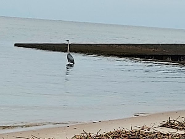 Representative image for Waveland, Mississippi