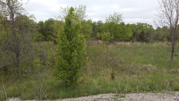 Representative image for Cameron, Missouri