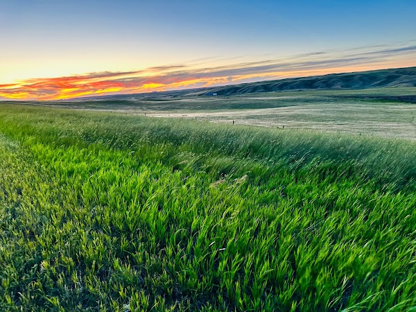 Representative image for Shelby, Montana