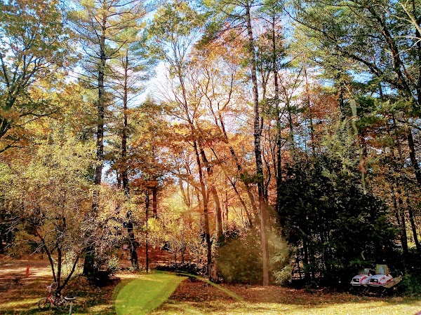 Representative image for Newton, New Hampshire