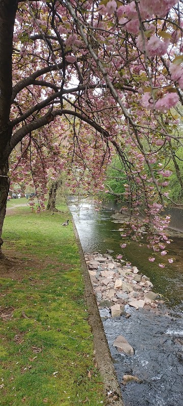 Representative image for Bloomfield, New Jersey