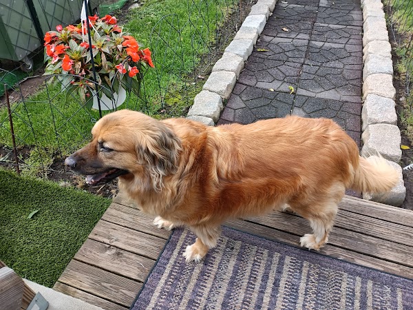 Representative image for Carteret, New Jersey