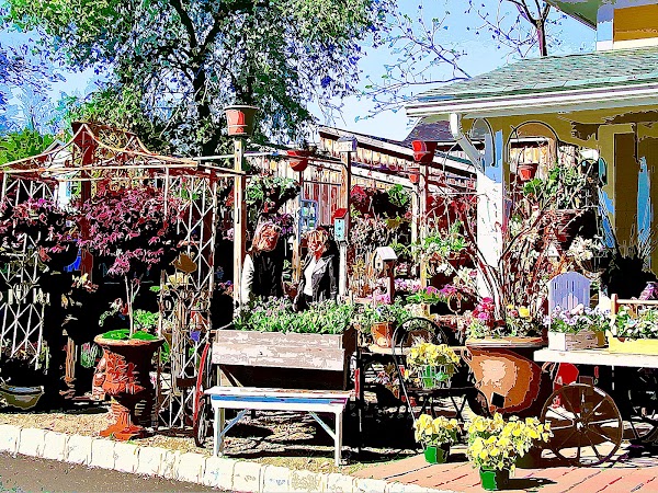 Representative image for Chester, New Jersey