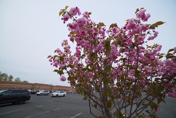 Representative image for Clark, New Jersey