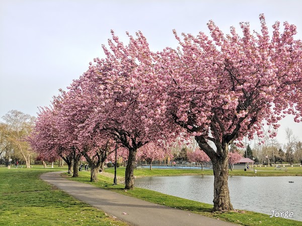Representative image for Clifton, New Jersey