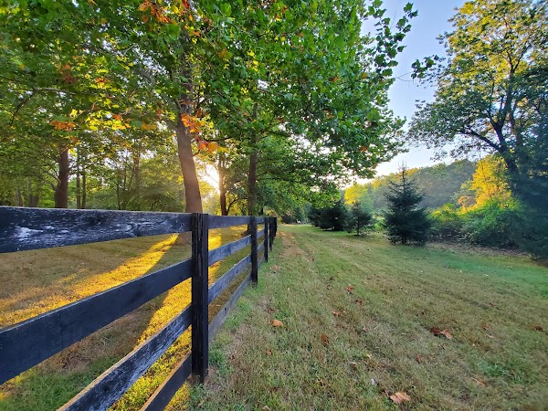 Representative image for Colts Neck, New Jersey