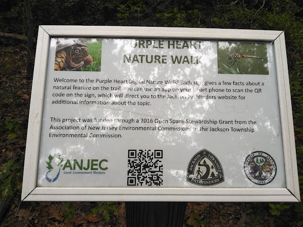 Representative image for Jackson, New Jersey