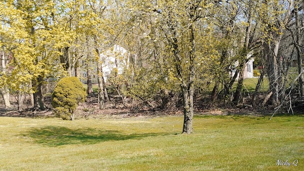 Representative image for Manalapan, New Jersey