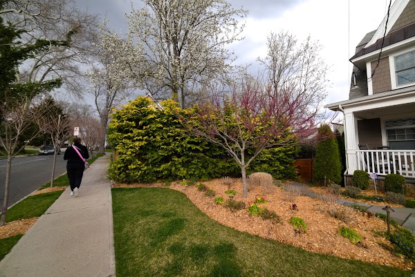 Representative image for Maplewood, New Jersey