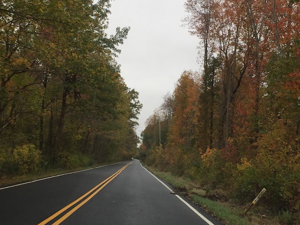 Representative image for Marlboro Township, New Jersey