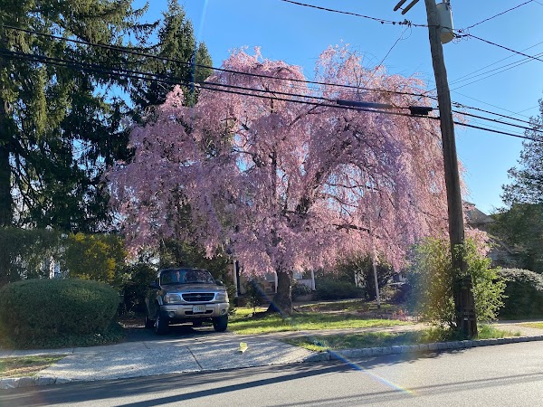 Representative image for Montclair, New Jersey