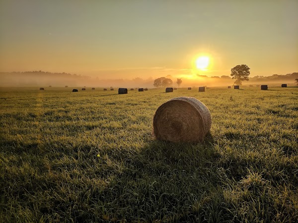 Representative image for Montgomery, New Jersey