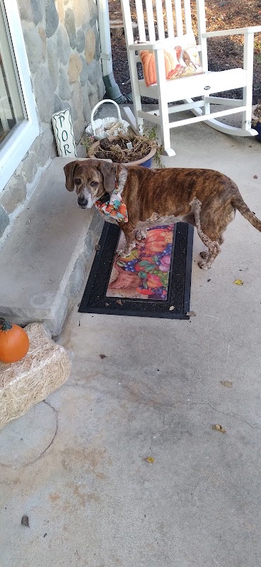 Representative image for Neptune, New Jersey