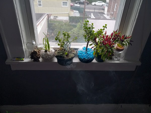 Representative image for Paramus, New Jersey