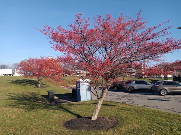 Representative image for Phillipsburg, New Jersey