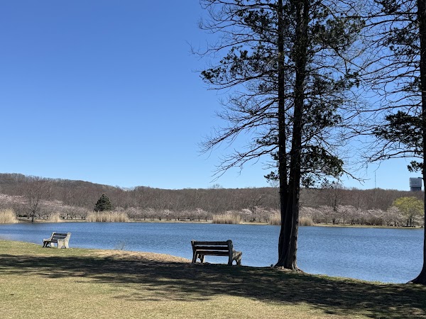 Representative image for Succasunna, New Jersey