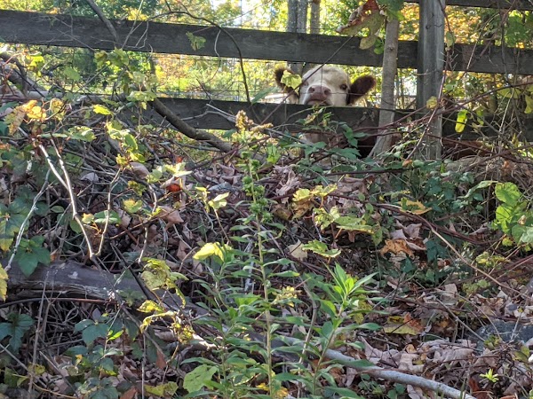 Representative image for Wantage, New Jersey