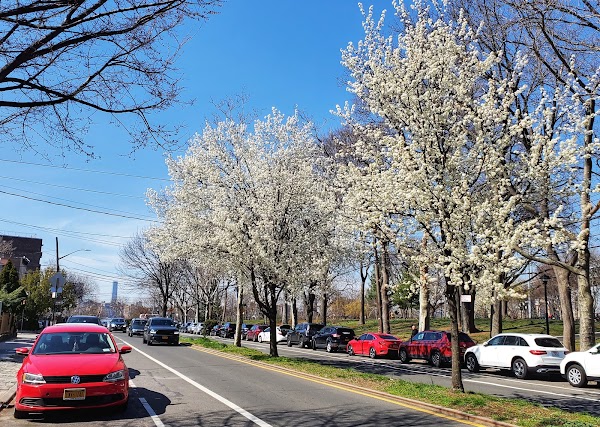 Representative image for Astoria, New York
