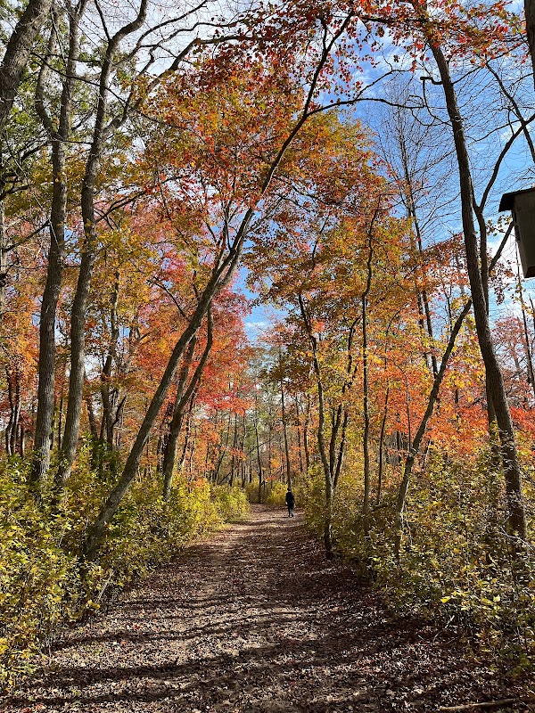 Representative image for Bohemia, New York