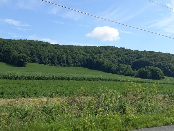 Representative image for Camillus, New York