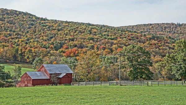 Representative image for Delhi, New York