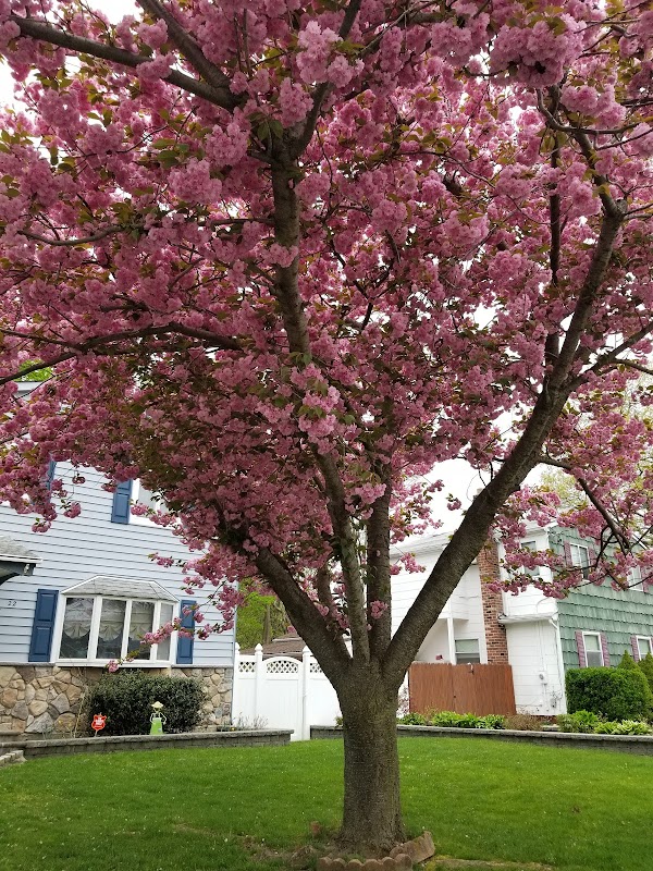 Representative image for Holbrook, New York
