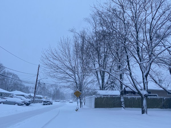 Representative image for Ronkonkoma, New York