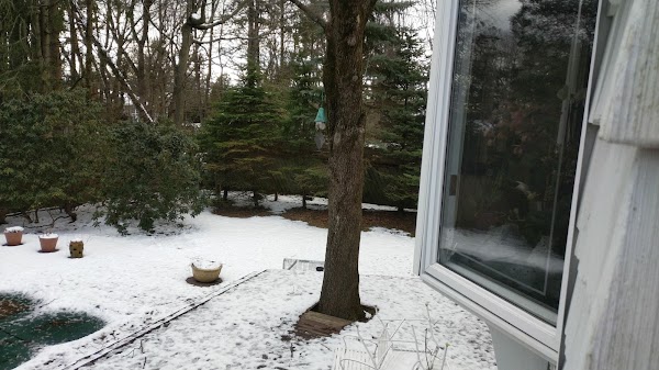 Representative image for Rye Brook, New York